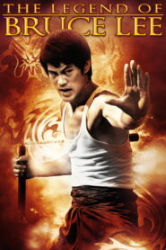 អ្នកប្រដាល់ លី ស៊ាវឡុង (50 Eps) – The Legend of Bruce Lee